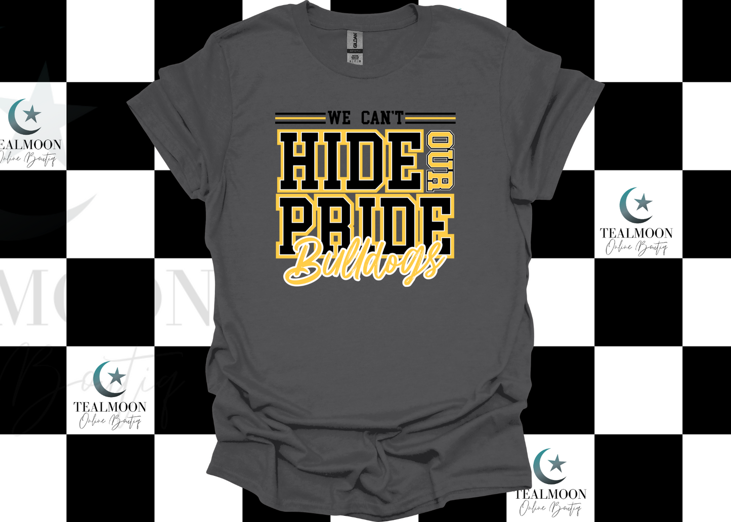 We Can't Hide Our Pride
