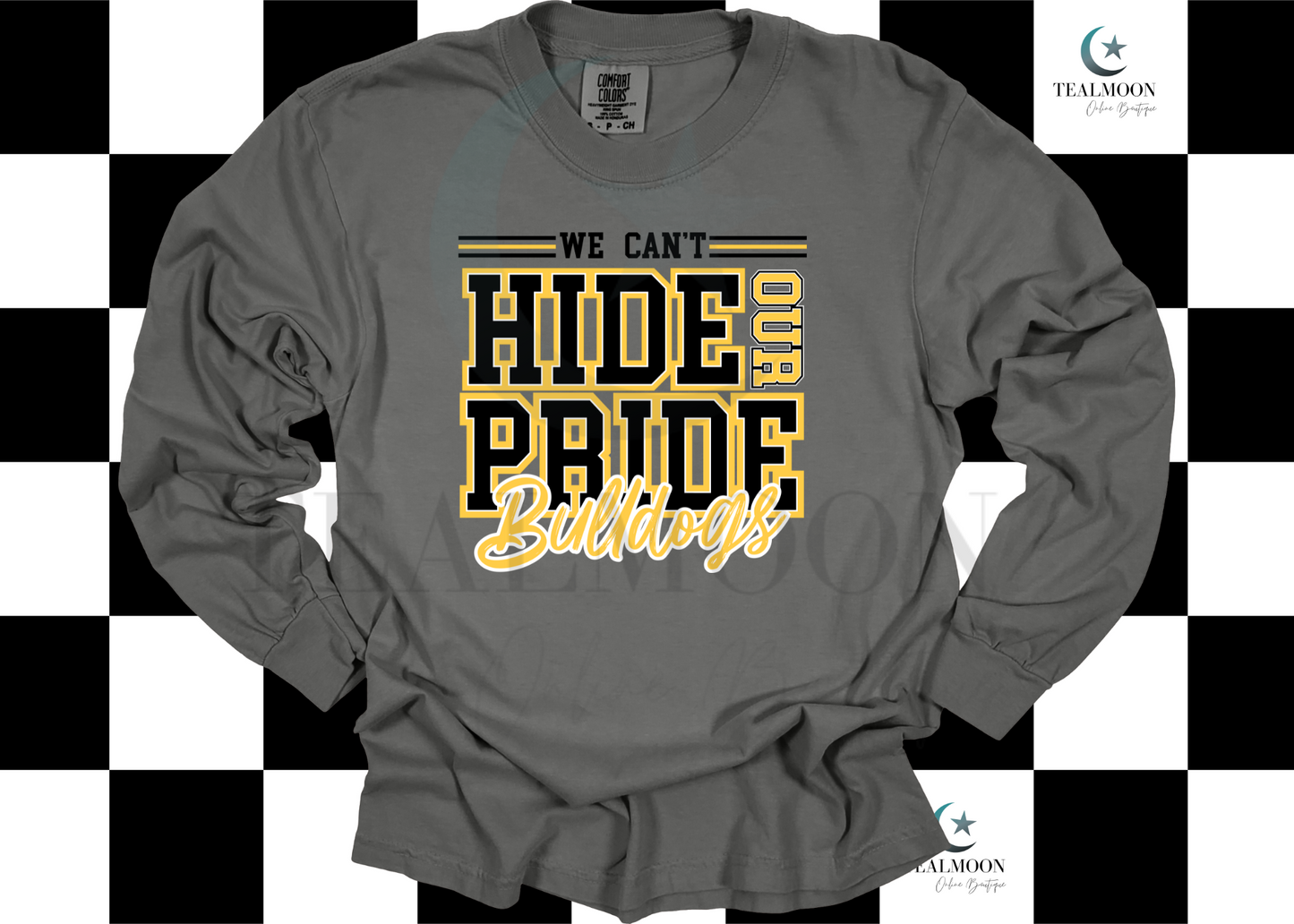 We Can't Hide Our Pride